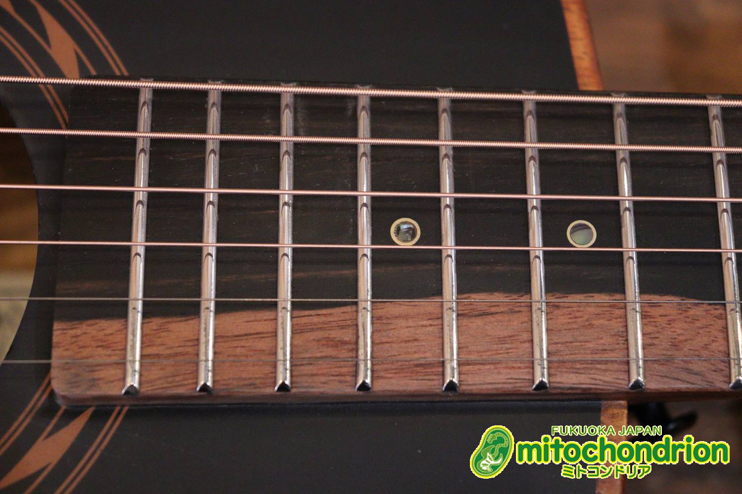 マホガニー・トップ、ウォルナット・サイドバックのエレアコで、チューナーも搭載しています！