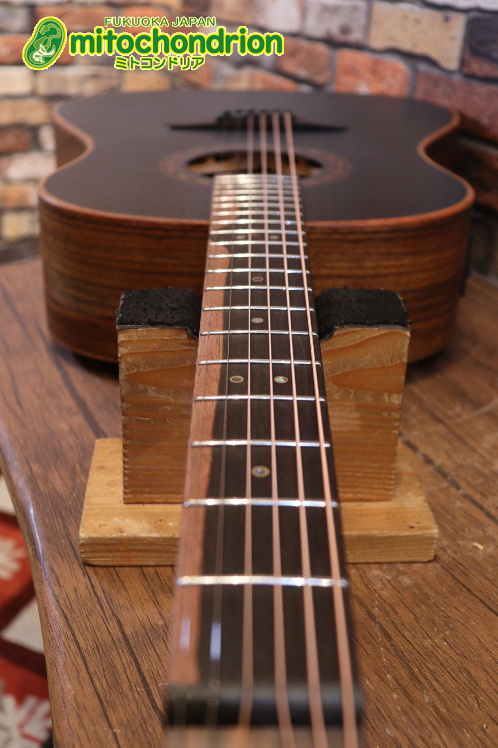 マホガニー・トップ、ウォルナット・サイドバックのエレアコで、チューナーも搭載しています！