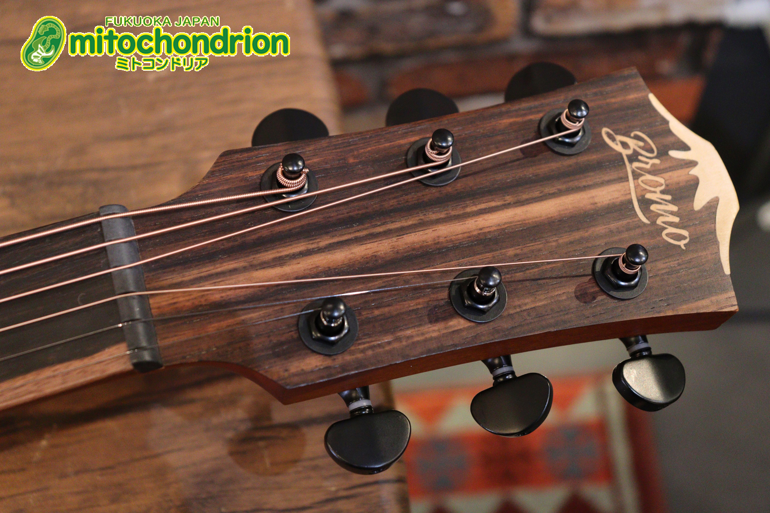 マホガニー・トップ、ウォルナット・サイドバックのエレアコで、チューナーも搭載しています！