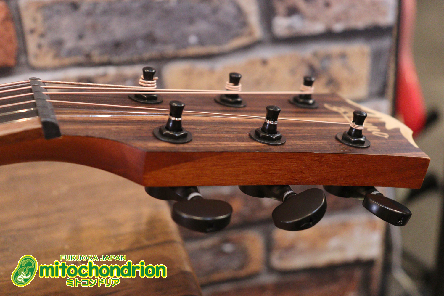 マホガニー・トップ、ウォルナット・サイドバックのエレアコで、チューナーも搭載しています！