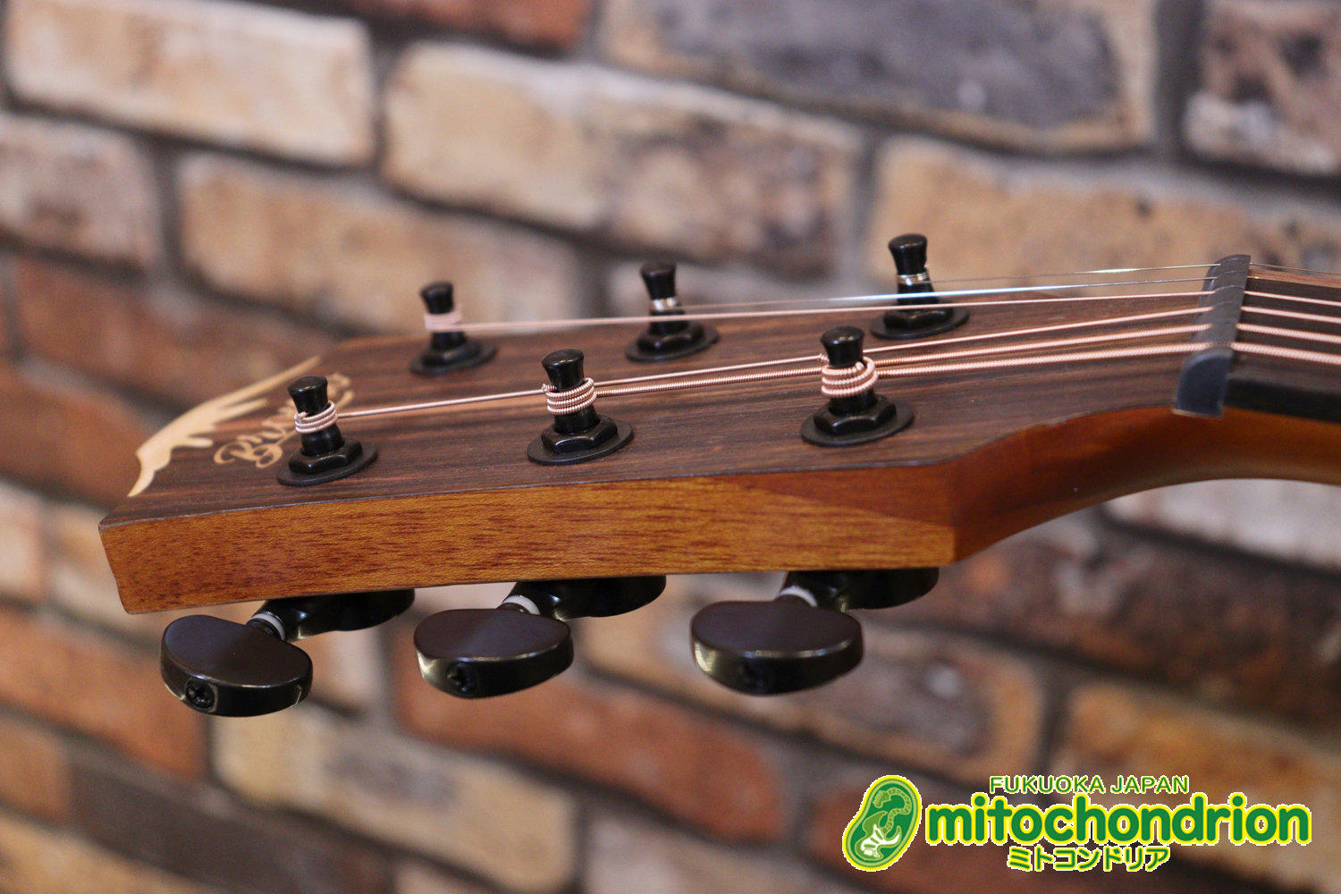 マホガニー・トップ、ウォルナット・サイドバックのエレアコで、チューナーも搭載しています！