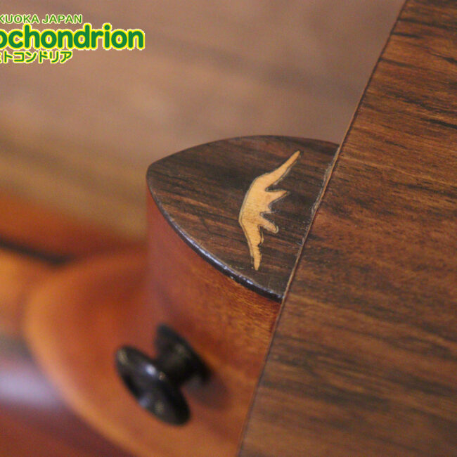 マホガニー・トップ、ウォルナット・サイドバックのエレアコで、チューナーも搭載しています！