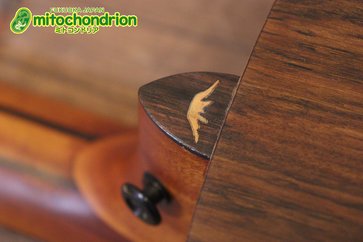 マホガニー・トップ、ウォルナット・サイドバックのエレアコで、チューナーも搭載しています！