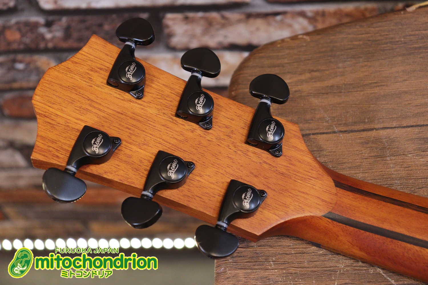 マホガニー・トップ、ウォルナット・サイドバックのエレアコで、チューナーも搭載しています！