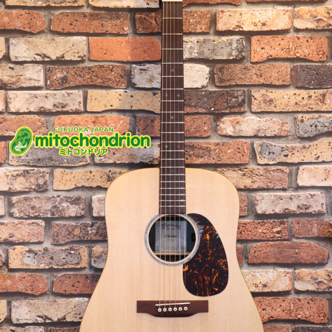 ずば抜けた耐久性があり、見た目もカッコ良いハカランダ柄のサイドバック！チューナー付きのエレアコです！D type