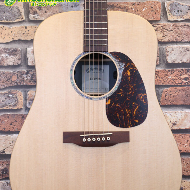 ずば抜けた耐久性があり、見た目もカッコ良いハカランダ柄のサイドバック！チューナー付きのエレアコです！D type