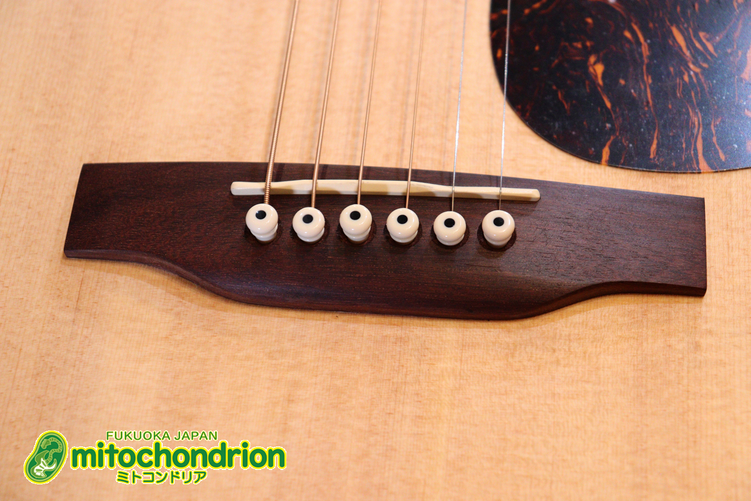 ずば抜けた耐久性があり、見た目もカッコ良いハカランダ柄のサイドバック！チューナー付きのエレアコです！D type