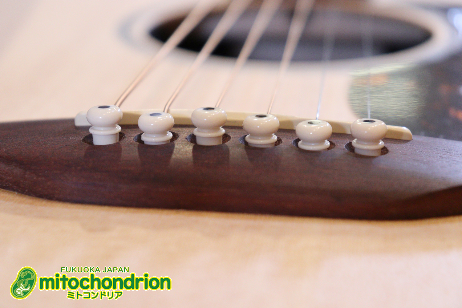 ずば抜けた耐久性があり、見た目もカッコ良いハカランダ柄のサイドバック！チューナー付きのエレアコです！D type