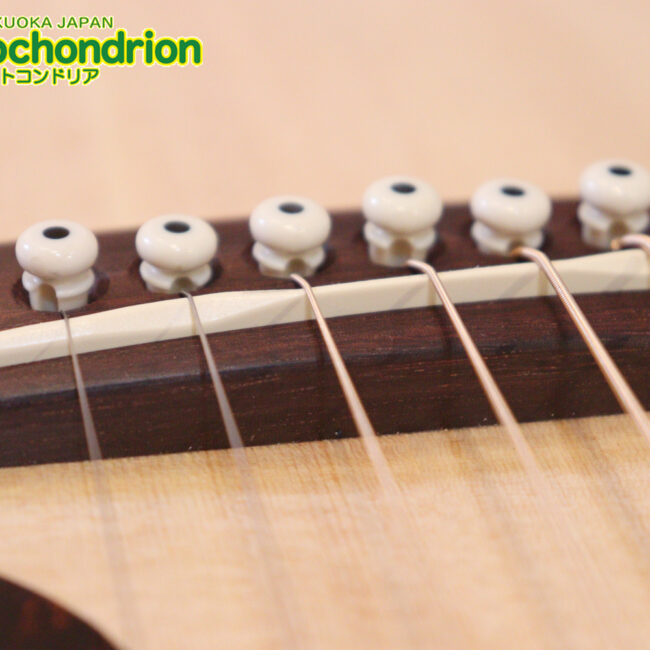 ずば抜けた耐久性があり、見た目もカッコ良いハカランダ柄のサイドバック！チューナー付きのエレアコです！D type