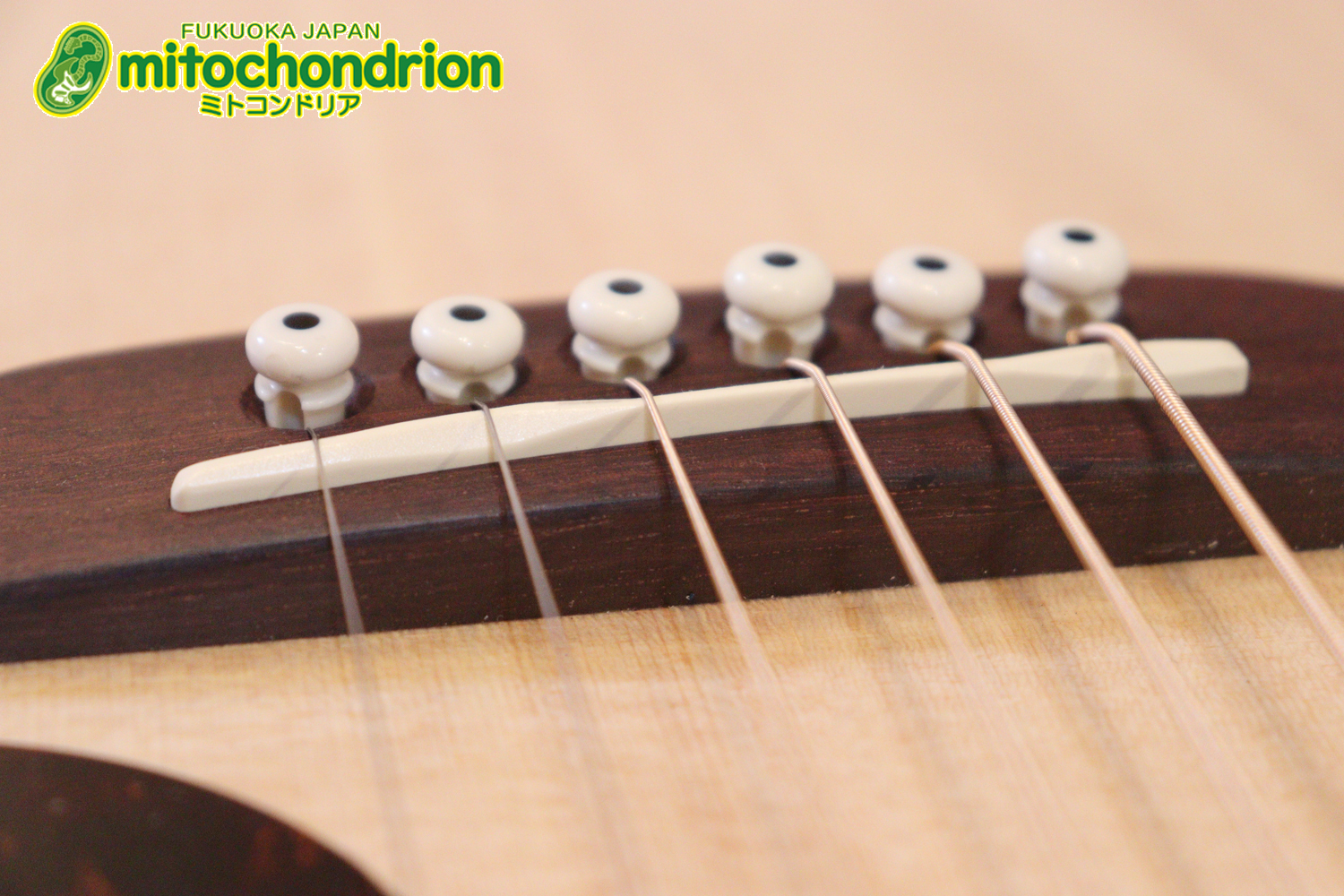 ずば抜けた耐久性があり、見た目もカッコ良いハカランダ柄のサイドバック！チューナー付きのエレアコです！D type