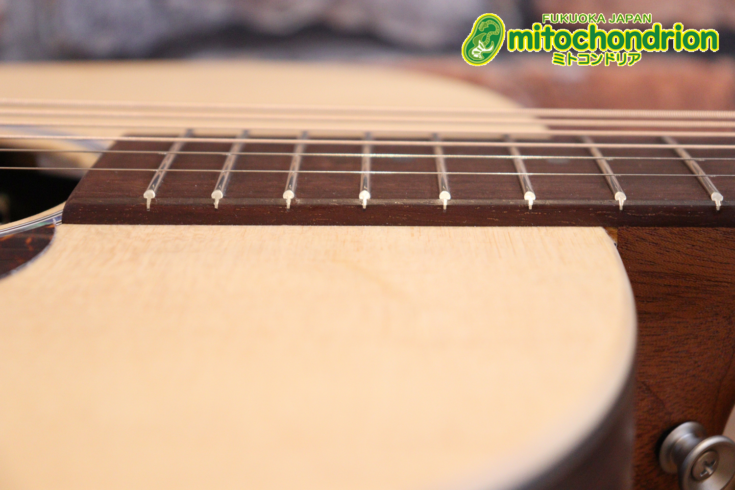 ずば抜けた耐久性があり、見た目もカッコ良いハカランダ柄のサイドバック！チューナー付きのエレアコです！D type