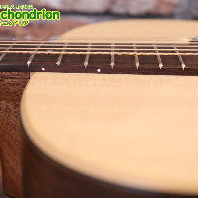 ずば抜けた耐久性があり、見た目もカッコ良いハカランダ柄のサイドバック！チューナー付きのエレアコです！D type