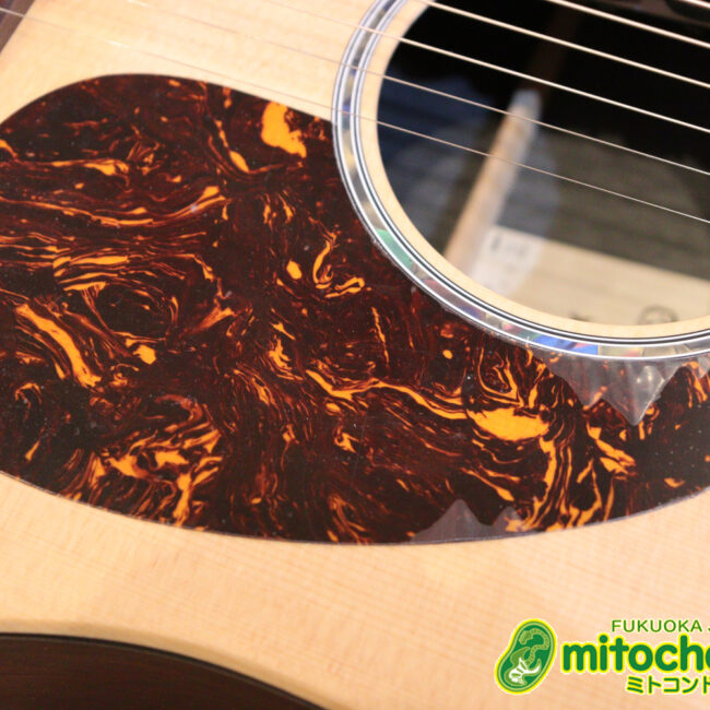 ずば抜けた耐久性があり、見た目もカッコ良いハカランダ柄のサイドバック！チューナー付きのエレアコです！D type