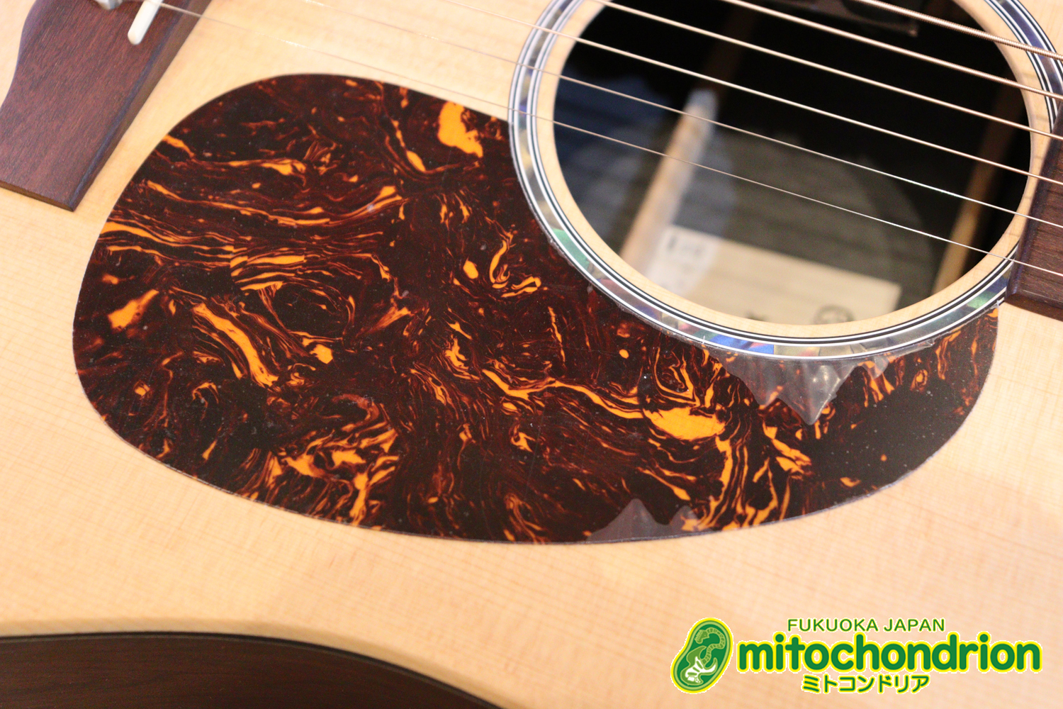 ずば抜けた耐久性があり、見た目もカッコ良いハカランダ柄のサイドバック！チューナー付きのエレアコです！D type