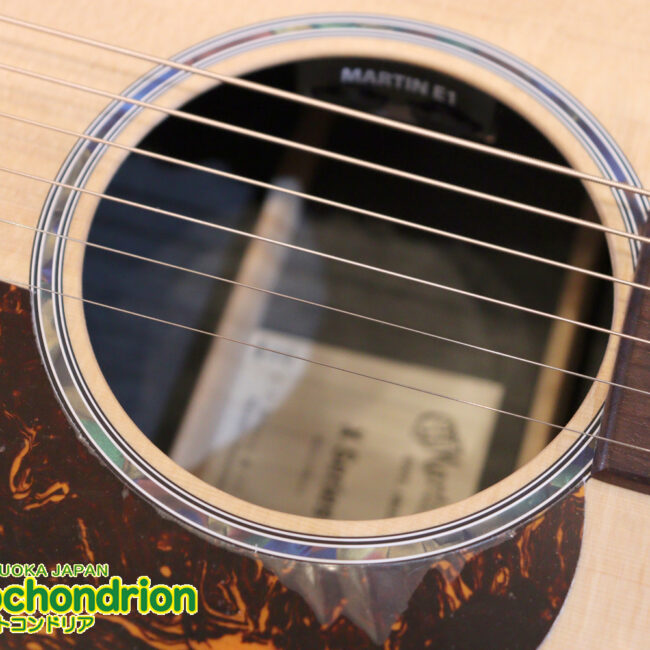 ずば抜けた耐久性があり、見た目もカッコ良いハカランダ柄のサイドバック！チューナー付きのエレアコです！D type