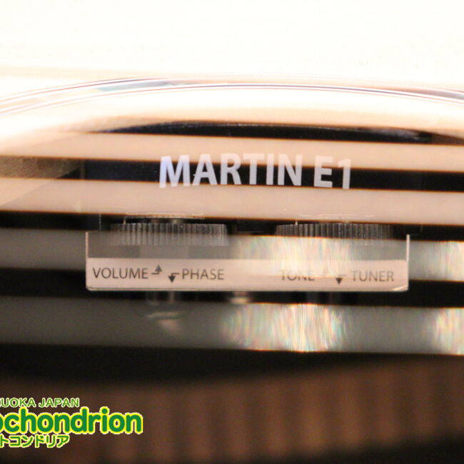 ずば抜けた耐久性があり、見た目もカッコ良いハカランダ柄のサイドバック！チューナー付きのエレアコです！D type