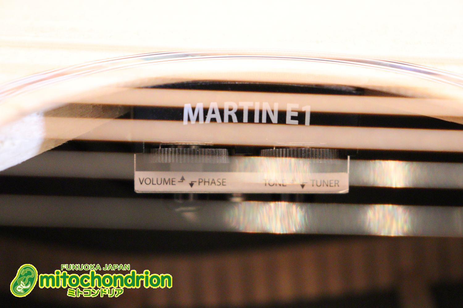 ずば抜けた耐久性があり、見た目もカッコ良いハカランダ柄のサイドバック！チューナー付きのエレアコです！D type