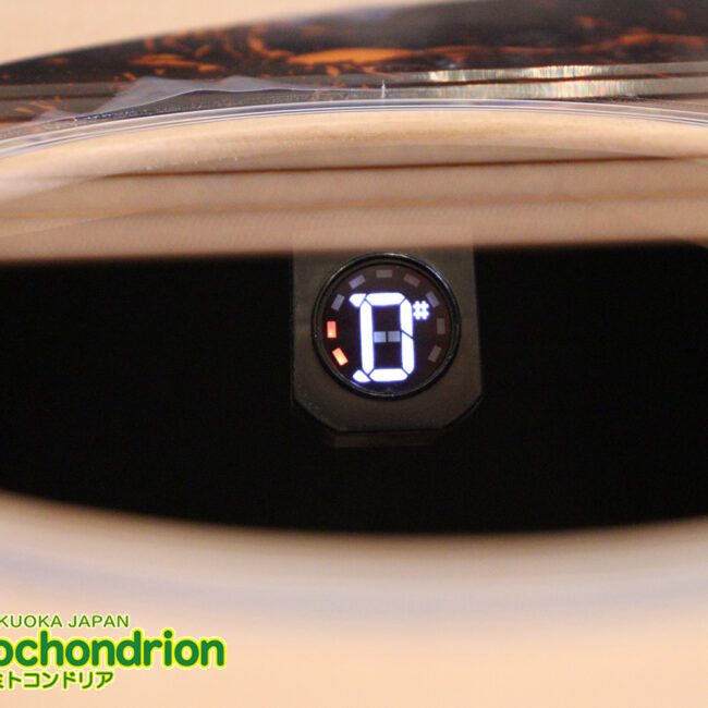 ずば抜けた耐久性があり、見た目もカッコ良いハカランダ柄のサイドバック！チューナー付きのエレアコです！D type