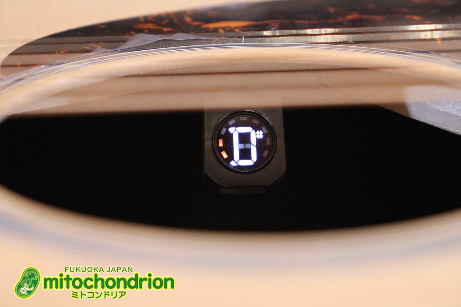 ずば抜けた耐久性があり、見た目もカッコ良いハカランダ柄のサイドバック！チューナー付きのエレアコです！D type