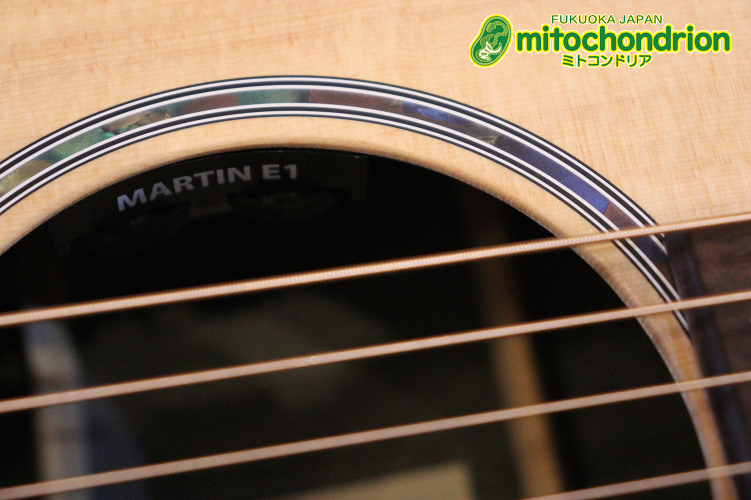 ずば抜けた耐久性があり、見た目もカッコ良いハカランダ柄のサイドバック！チューナー付きのエレアコです！D type