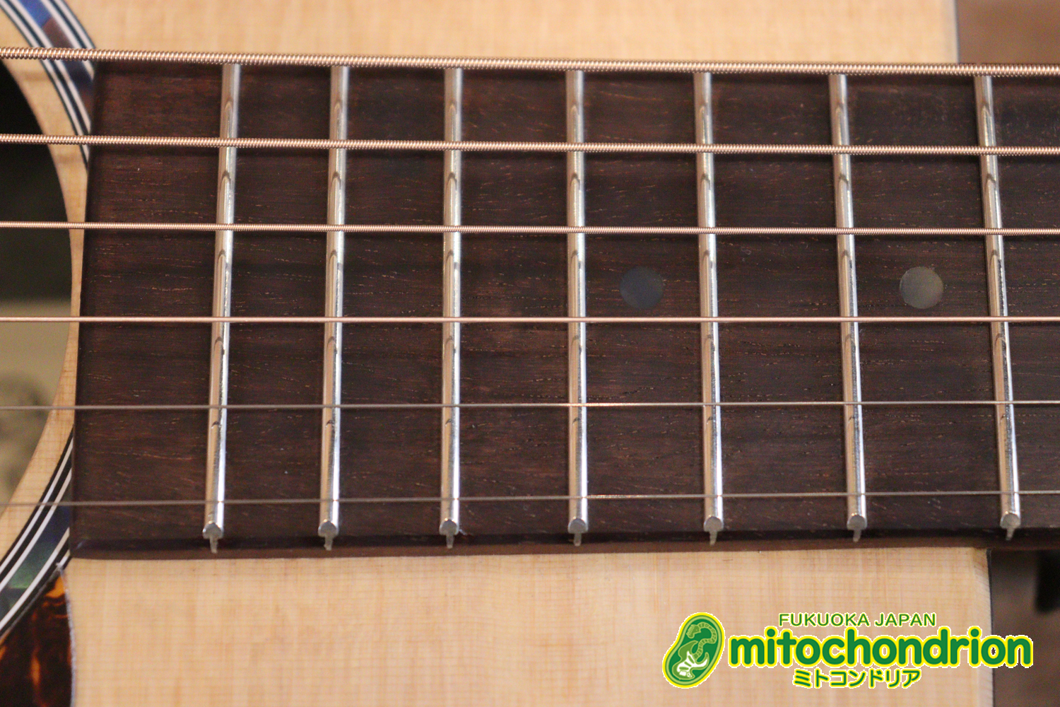 ずば抜けた耐久性があり、見た目もカッコ良いハカランダ柄のサイドバック！チューナー付きのエレアコです！D type