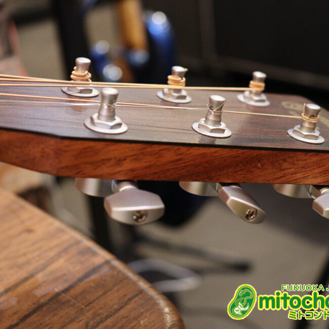 ずば抜けた耐久性があり、見た目もカッコ良いハカランダ柄のサイドバック！チューナー付きのエレアコです！D type