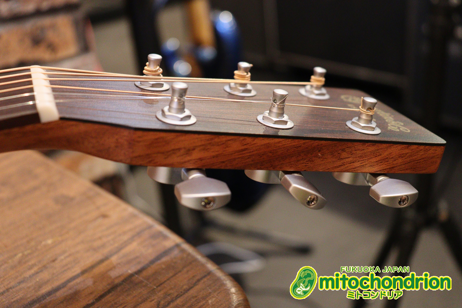 ずば抜けた耐久性があり、見た目もカッコ良いハカランダ柄のサイドバック！チューナー付きのエレアコです！D type