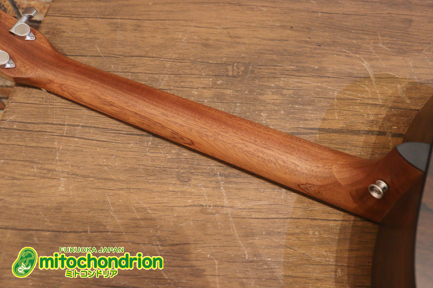 ずば抜けた耐久性があり、見た目もカッコ良いハカランダ柄のサイドバック！チューナー付きのエレアコです！D type