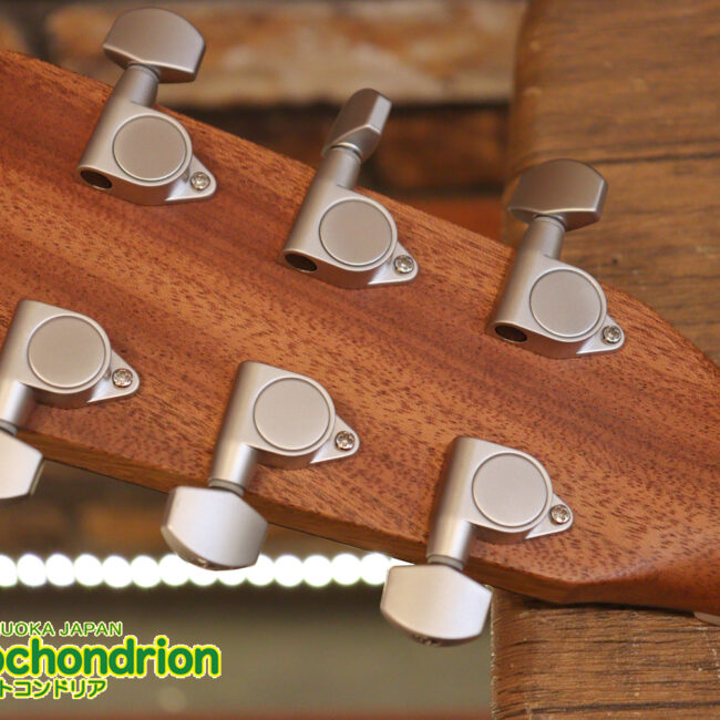 ずば抜けた耐久性があり、見た目もカッコ良いハカランダ柄のサイドバック！チューナー付きのエレアコです！D type