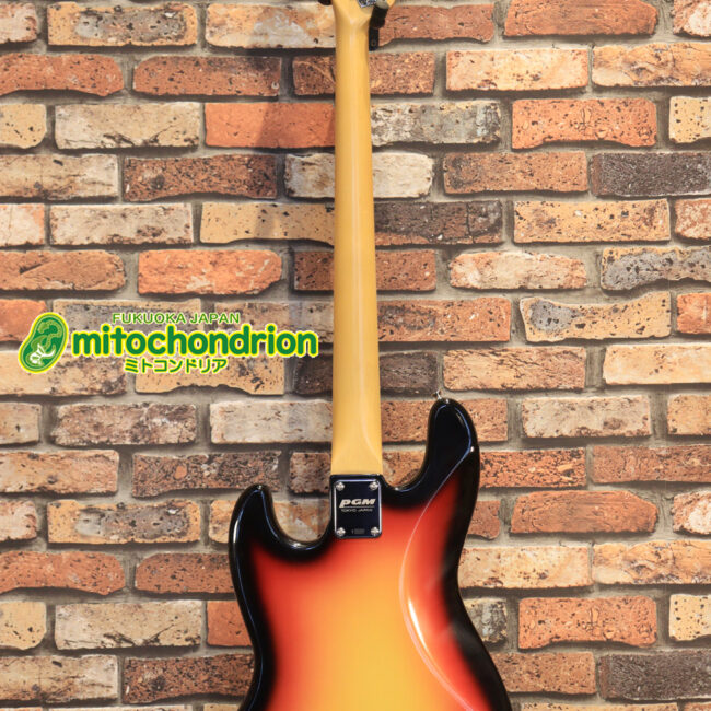 バインディング・ドットで21フレット仕様！