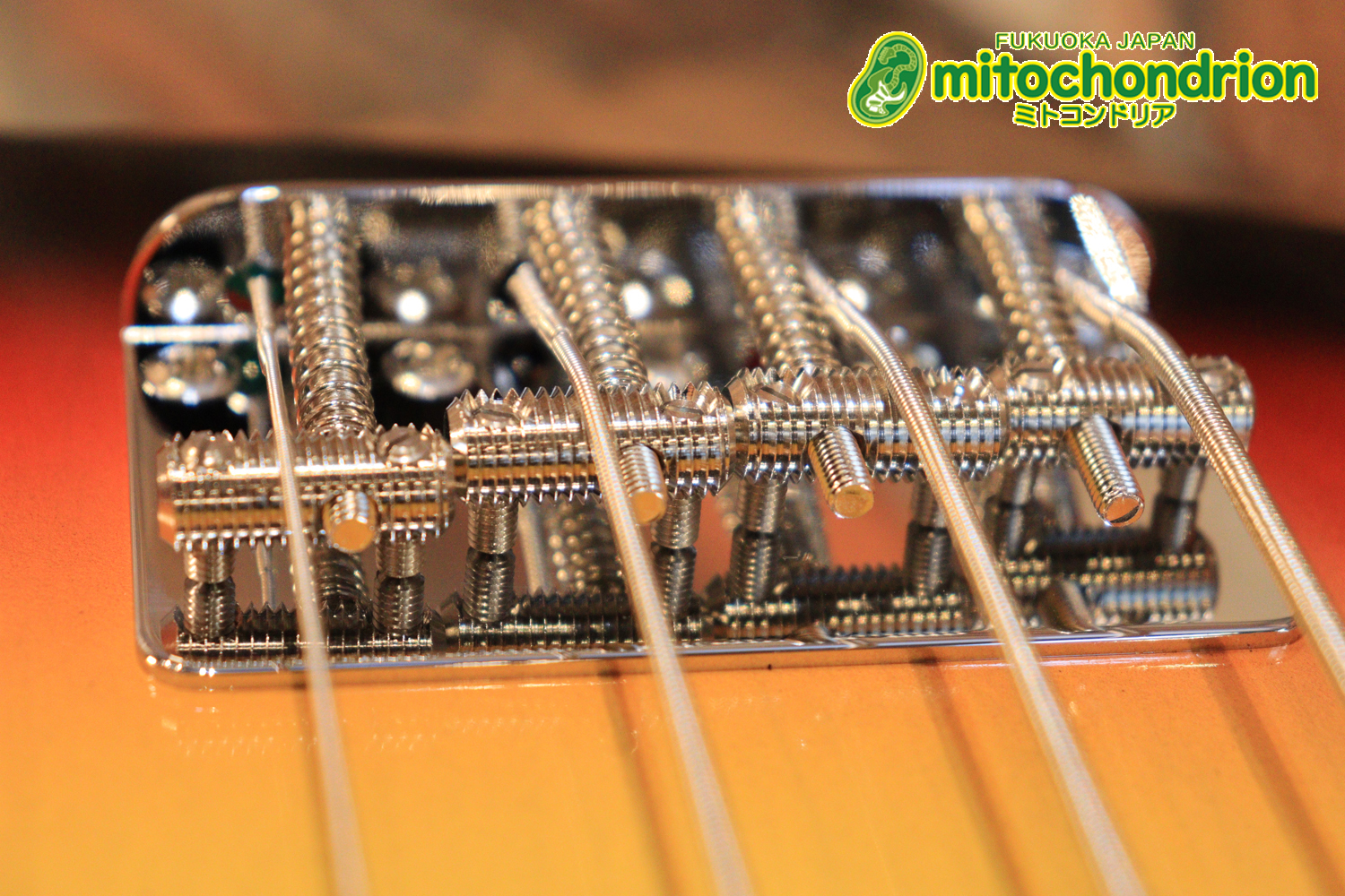 バインディング・ドットで21フレット仕様！