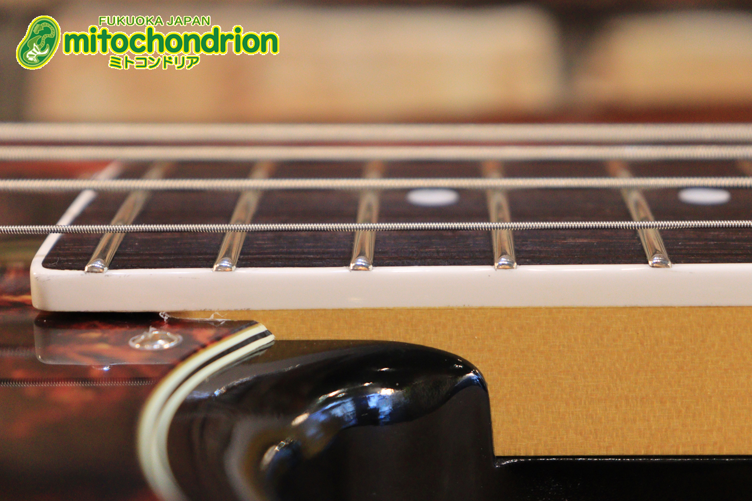 バインディング・ドットで21フレット仕様！