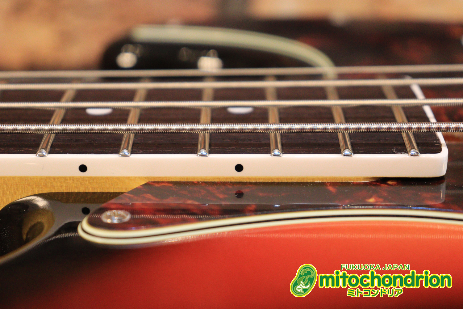 バインディング・ドットで21フレット仕様！