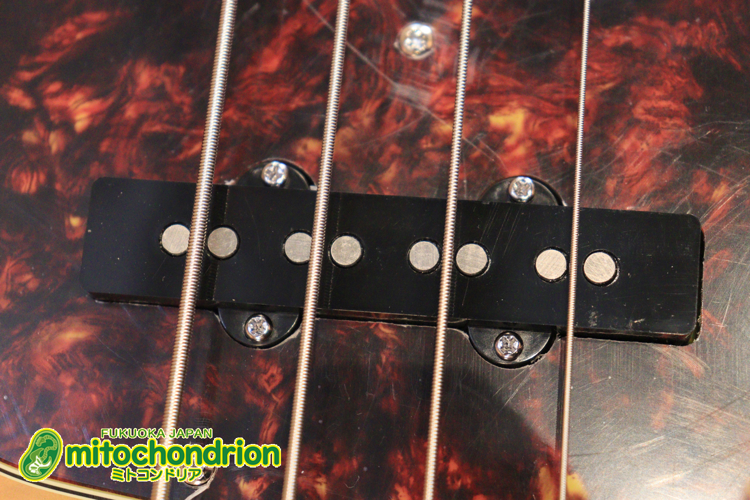 バインディング・ドットで21フレット仕様！