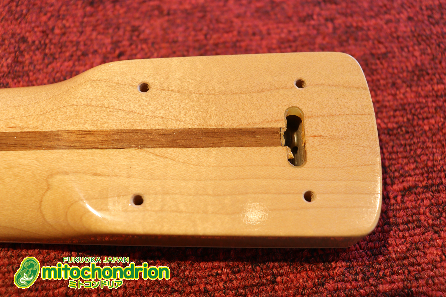 クオリティーがかなり高いミニジャズベースです！