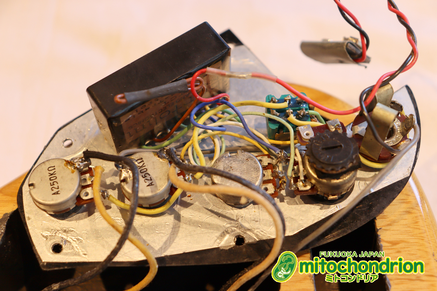 クオリティーがかなり高いミニジャズベースです！