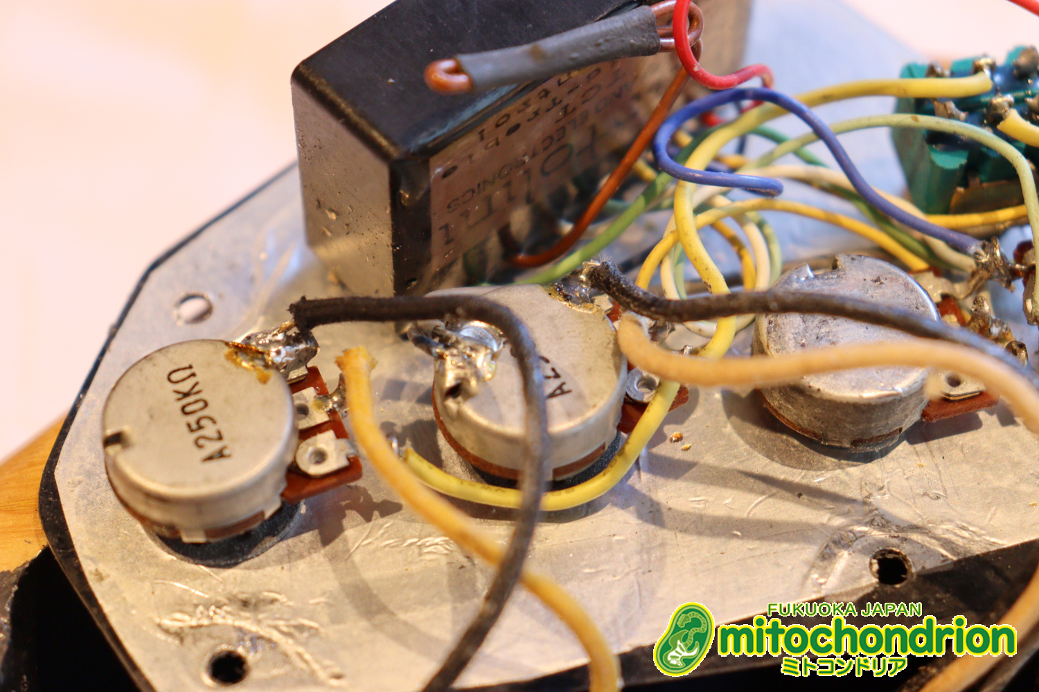 クオリティーがかなり高いミニジャズベースです！