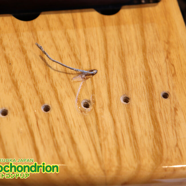 クオリティーがかなり高いミニジャズベースです！