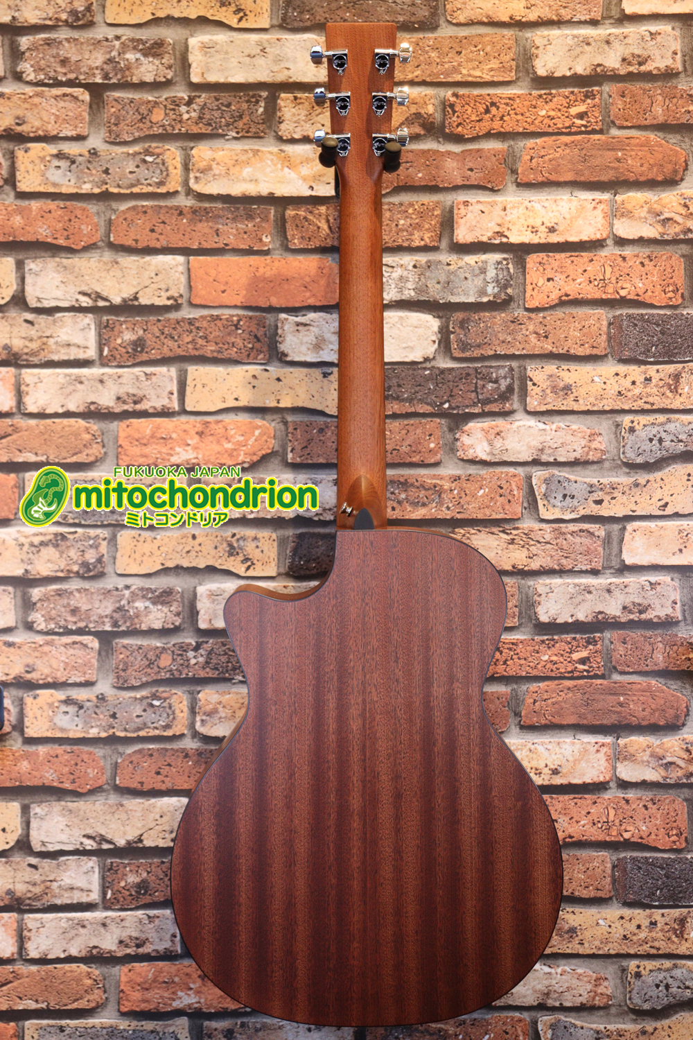 ドレッドノートとOOOの良い所を組み合わせたボディーのGPC！ハイフレットも弾きやすいです。