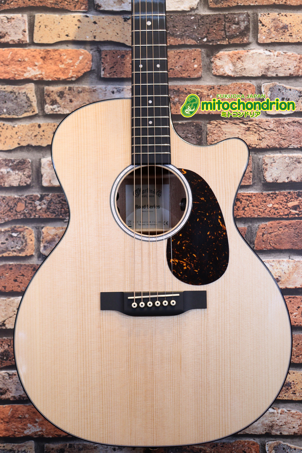 ドレッドノートとOOOの良い所を組み合わせたボディーのGPC！ハイフレットも弾きやすいです。