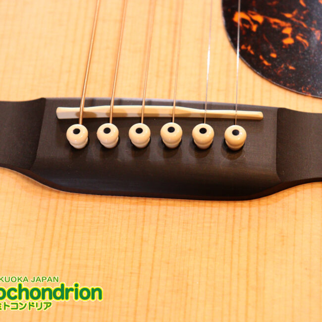 ドレッドノートとOOOの良い所を組み合わせたボディーのGPC！ハイフレットも弾きやすいです。