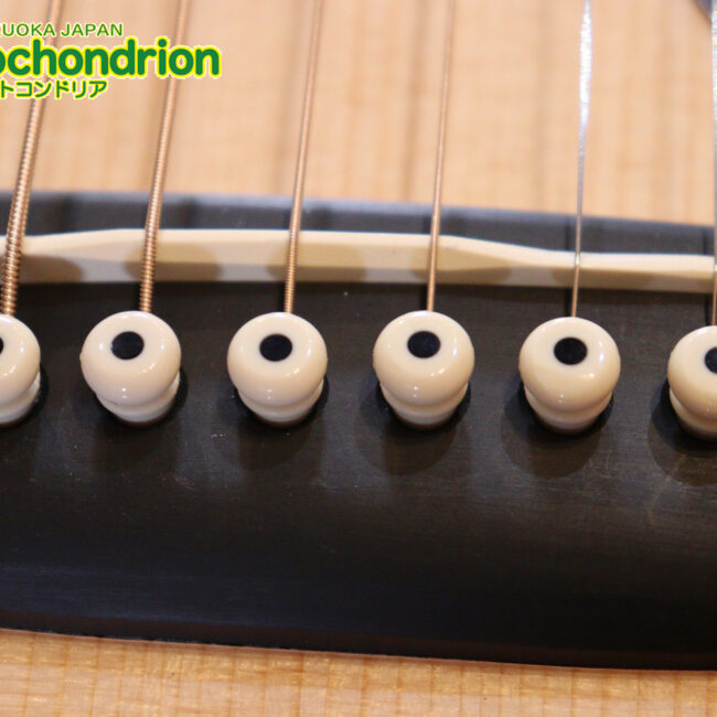 ドレッドノートとOOOの良い所を組み合わせたボディーのGPC！ハイフレットも弾きやすいです。