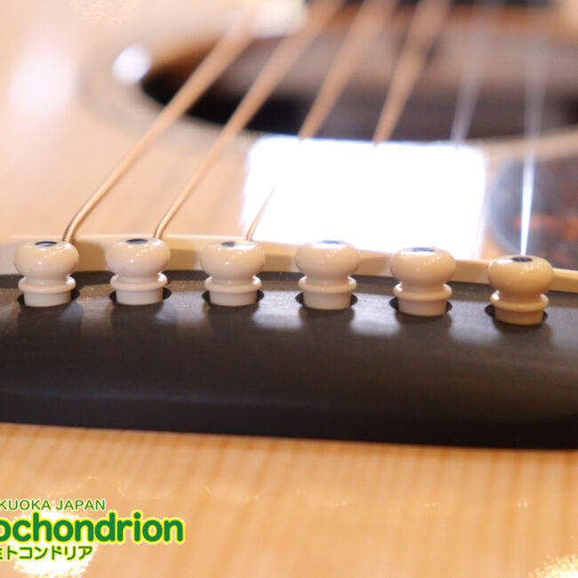 ドレッドノートとOOOの良い所を組み合わせたボディーのGPC！ハイフレットも弾きやすいです。