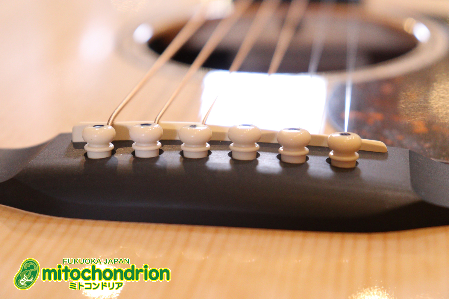 ドレッドノートとOOOの良い所を組み合わせたボディーのGPC！ハイフレットも弾きやすいです。