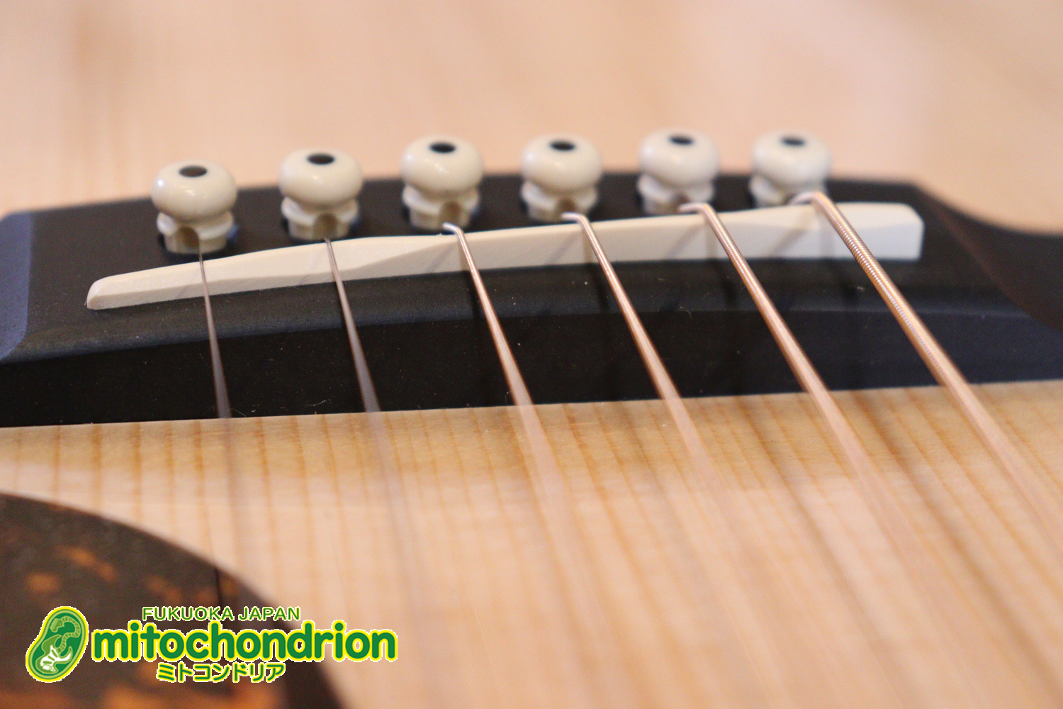 ドレッドノートとOOOの良い所を組み合わせたボディーのGPC！ハイフレットも弾きやすいです。