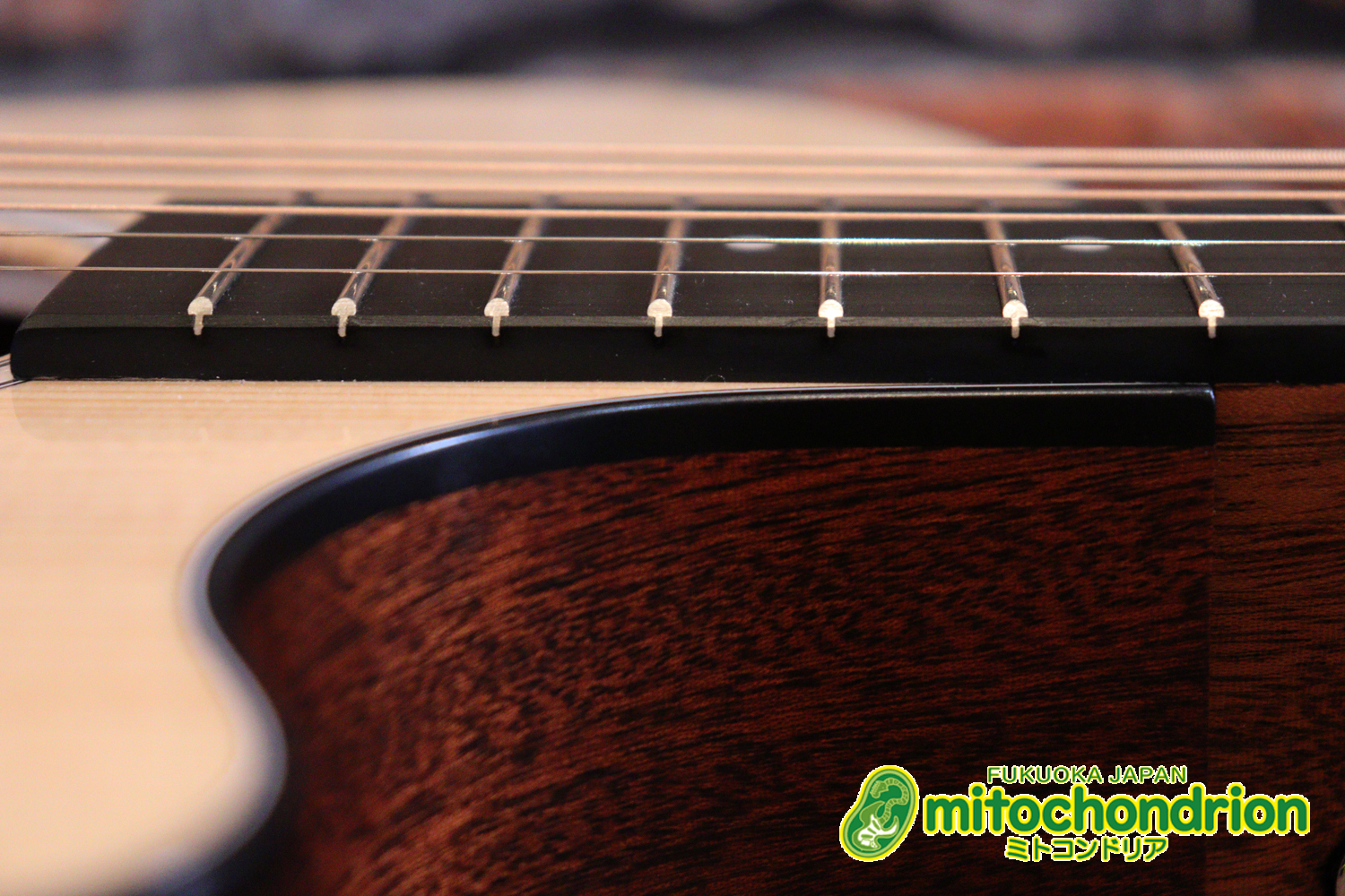 ドレッドノートとOOOの良い所を組み合わせたボディーのGPC！ハイフレットも弾きやすいです。