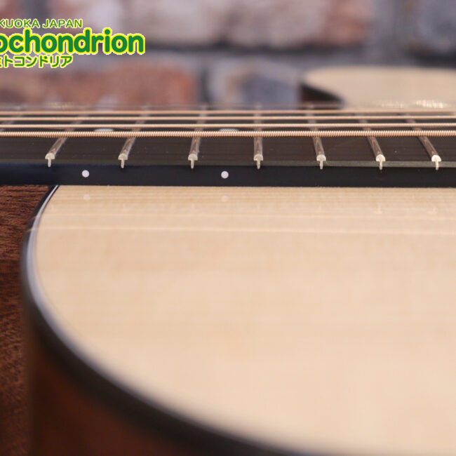 ドレッドノートとOOOの良い所を組み合わせたボディーのGPC！ハイフレットも弾きやすいです。