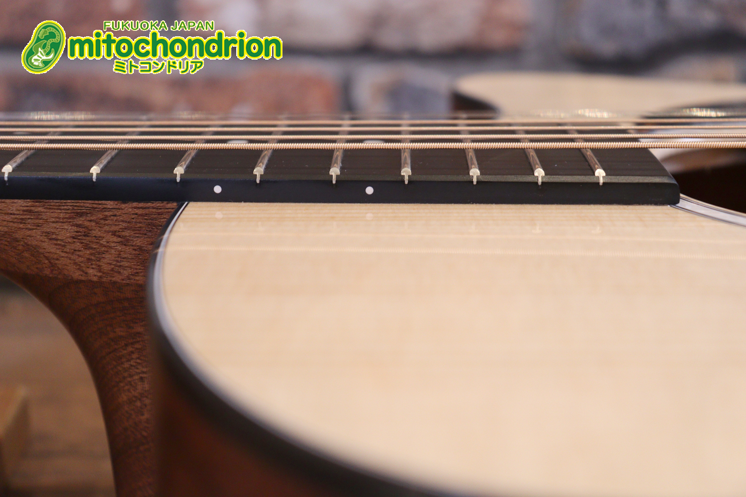 ドレッドノートとOOOの良い所を組み合わせたボディーのGPC！ハイフレットも弾きやすいです。