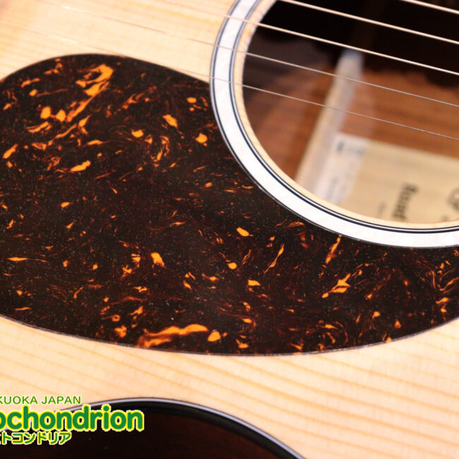 ドレッドノートとOOOの良い所を組み合わせたボディーのGPC！ハイフレットも弾きやすいです。