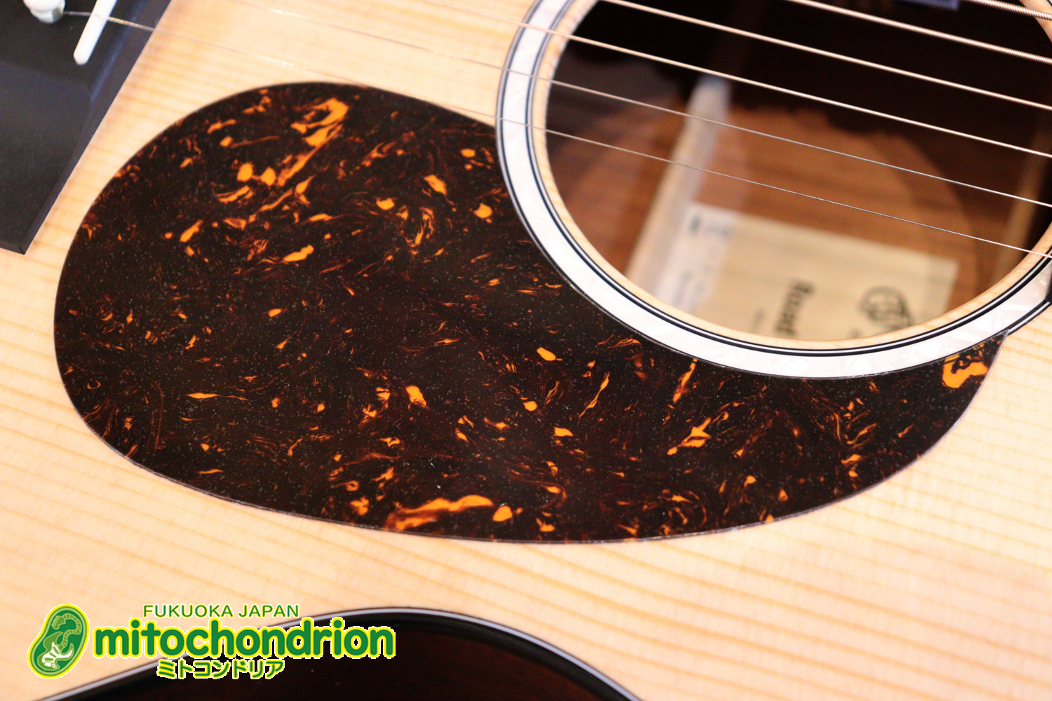 ドレッドノートとOOOの良い所を組み合わせたボディーのGPC！ハイフレットも弾きやすいです。